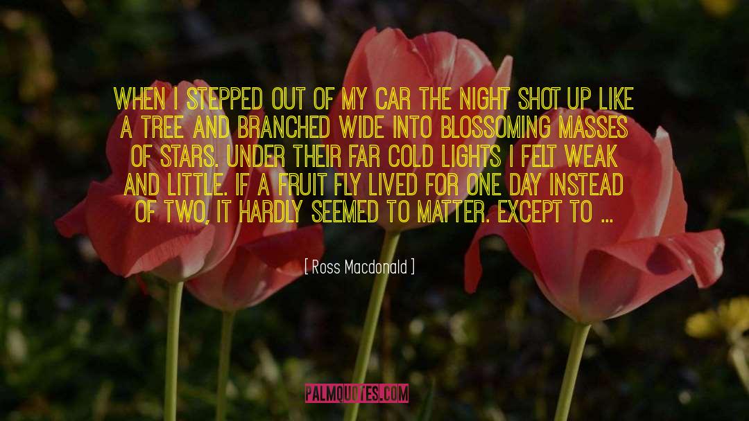 Blossoming quotes by Ross Macdonald