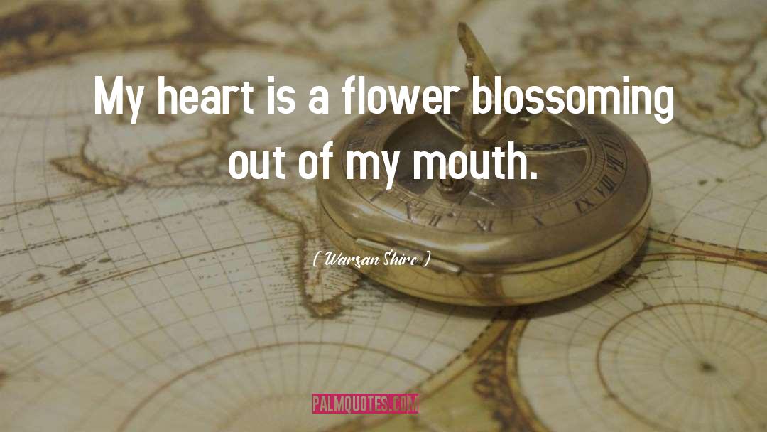 Blossoming quotes by Warsan Shire