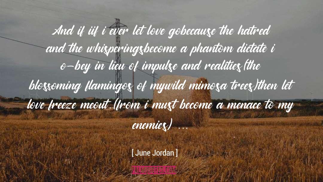 Blossoming quotes by June Jordan