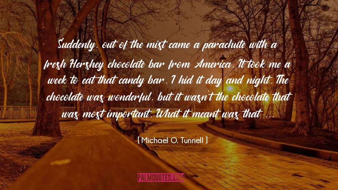Blossoms In The Mist quotes by Michael O. Tunnell