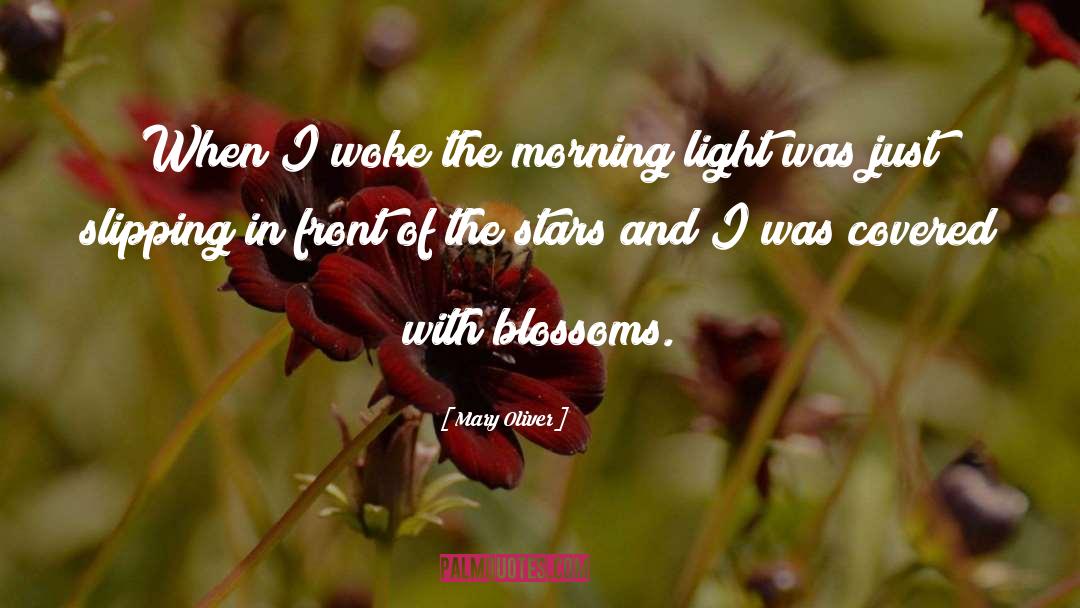 Blossoms In The Mist quotes by Mary Oliver
