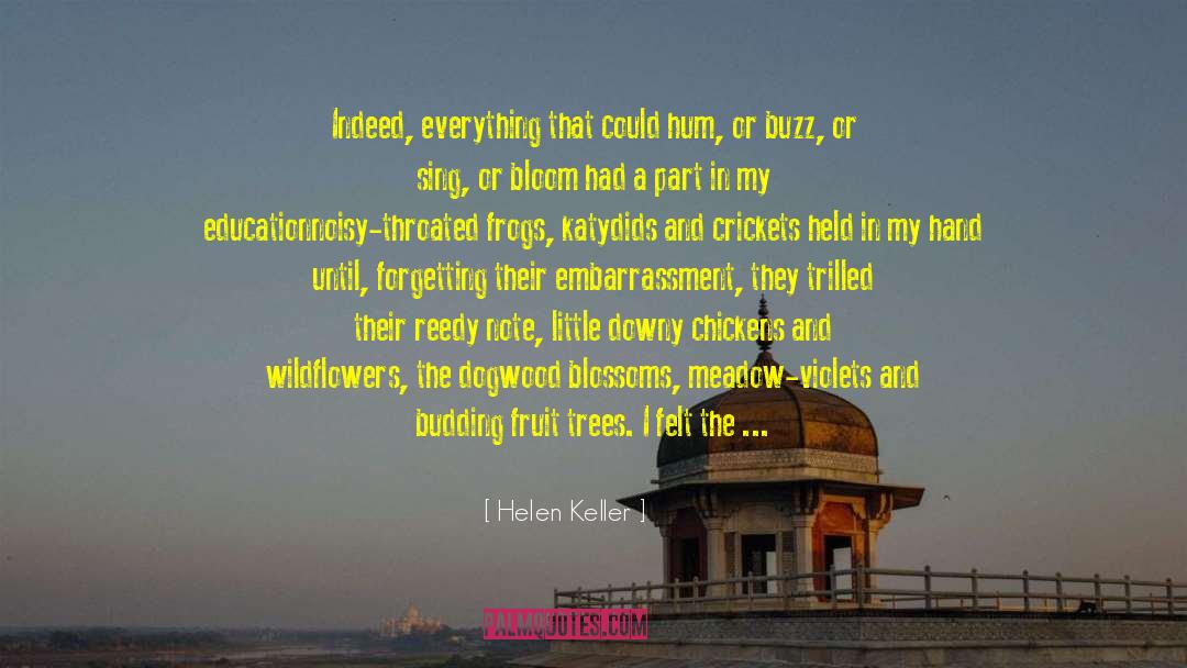 Blossoms quotes by Helen Keller