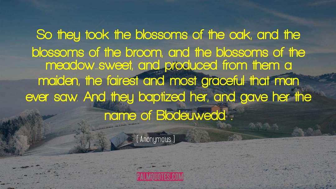 Blossoms quotes by Anonymous