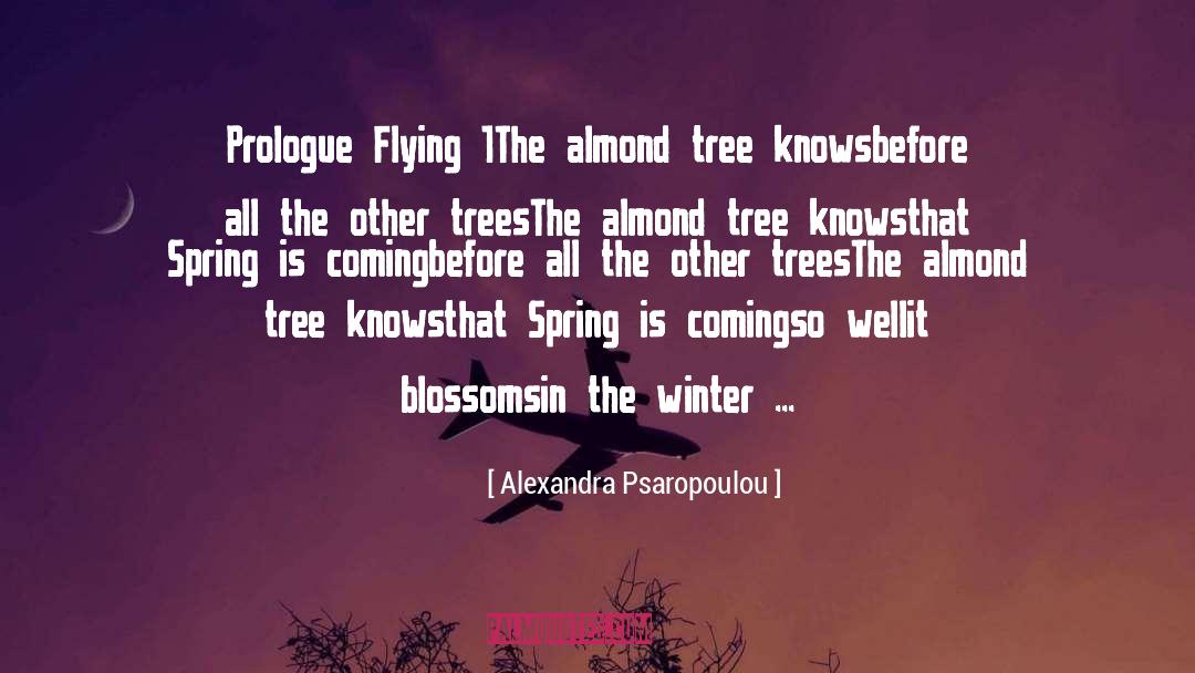 Blossoms quotes by Alexandra Psaropoulou