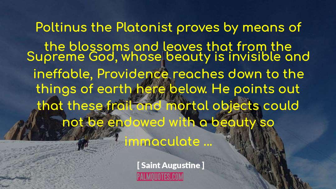 Blossoms quotes by Saint Augustine