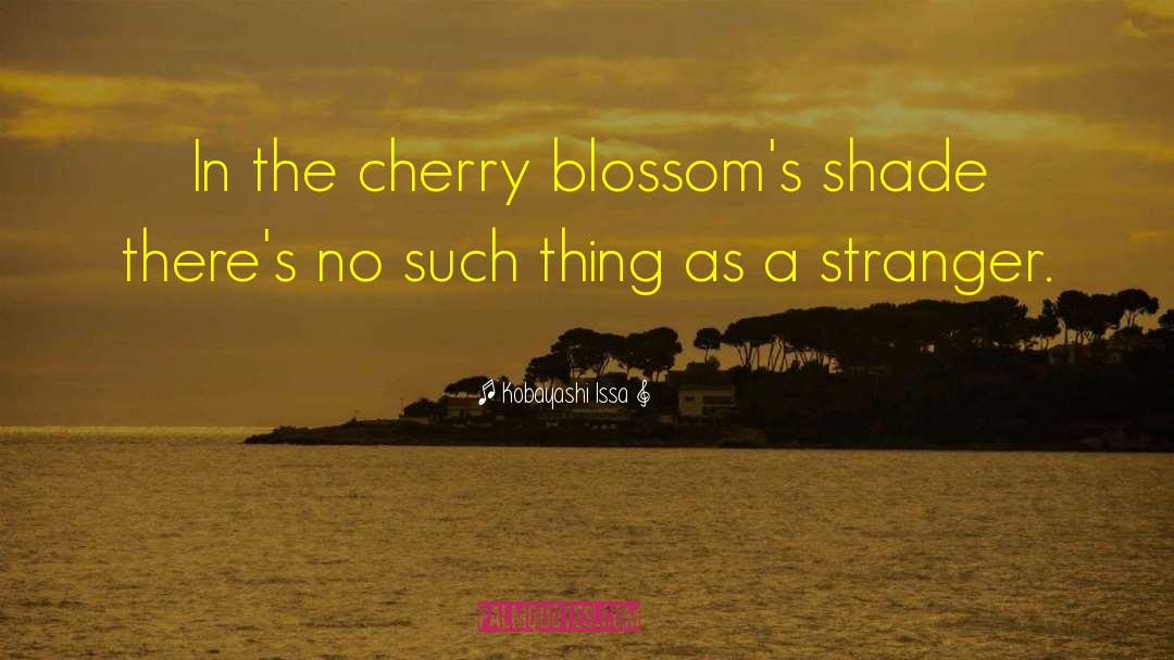 Blossoms quotes by Kobayashi Issa