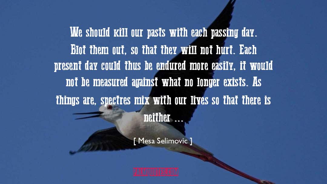 Blot quotes by Mesa Selimovic