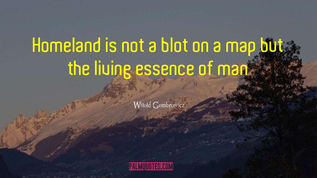 Blot quotes by Witold Gombrowicz