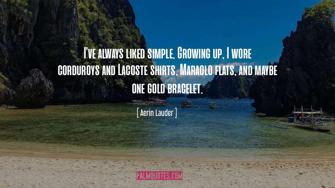 Blousy Shirts quotes by Aerin Lauder