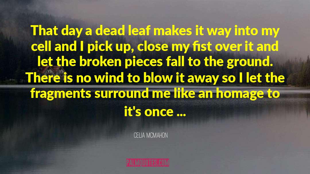 Blow It quotes by Celia Mcmahon
