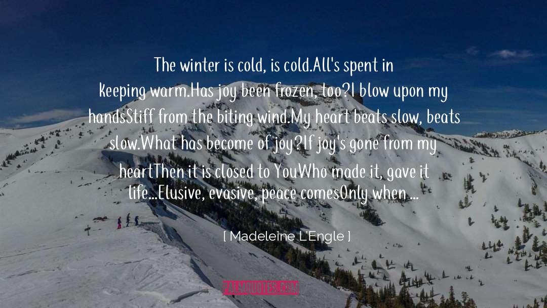 Blow quotes by Madeleine L'Engle