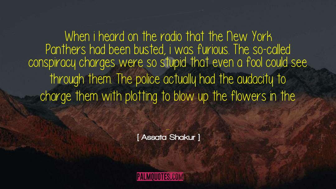 Blow Up quotes by Assata Shakur