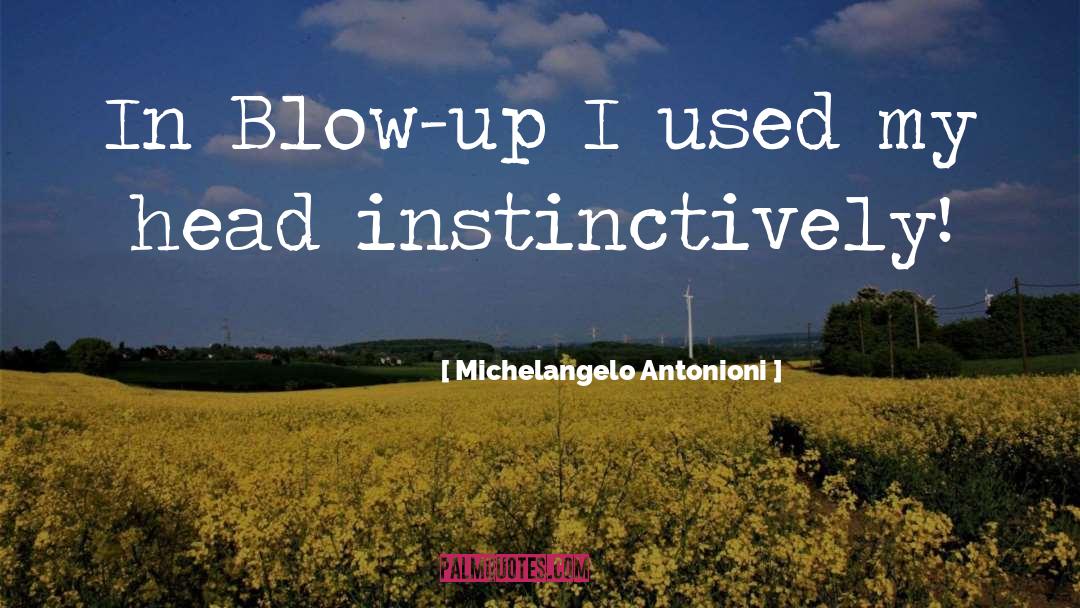 Blow Up quotes by Michelangelo Antonioni