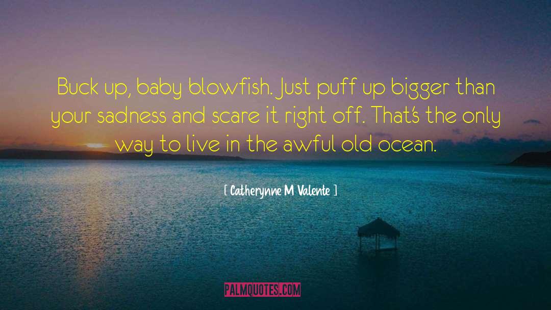 Blowfish quotes by Catherynne M Valente