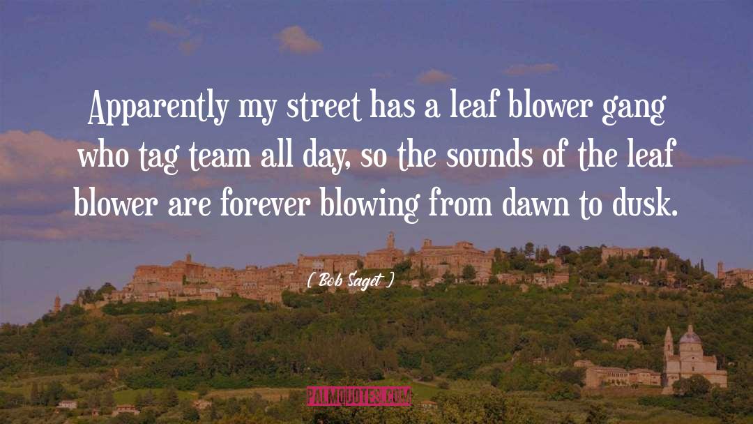 Blowing Dandelion quotes by Bob Saget