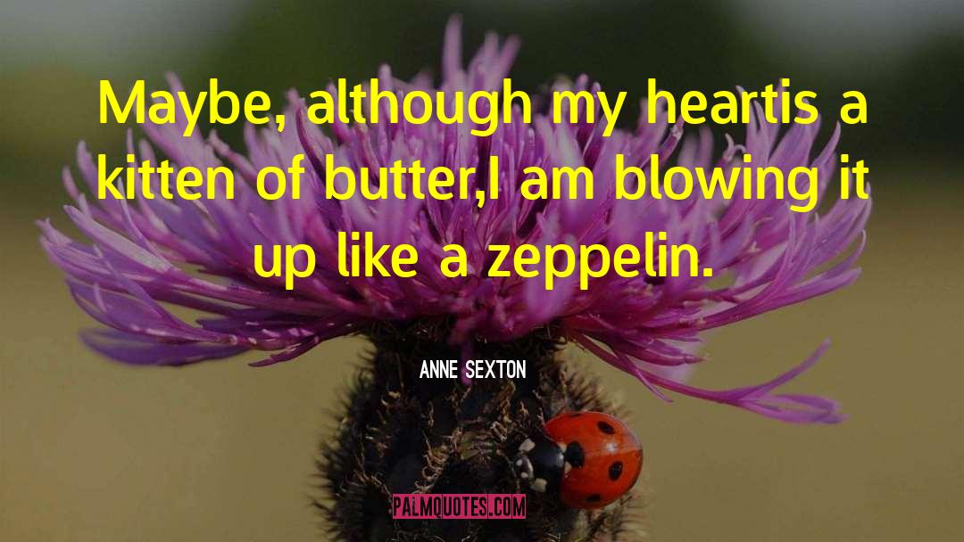 Blowing It quotes by Anne Sexton