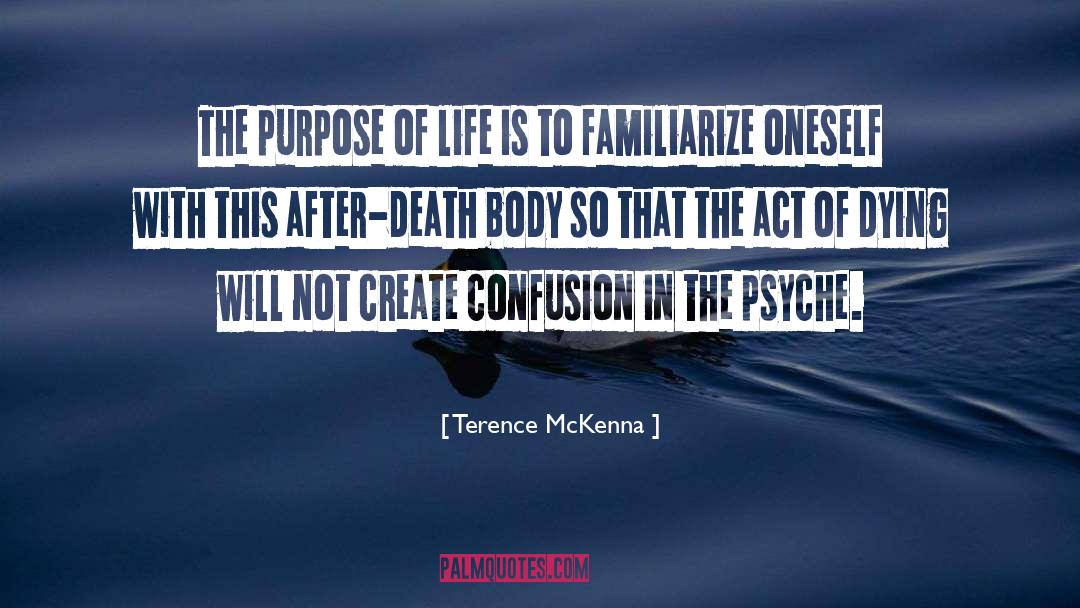 Blowing It quotes by Terence McKenna