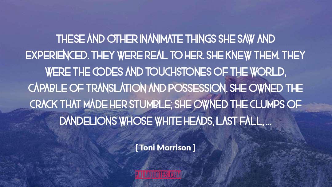 Blown Away quotes by Toni Morrison