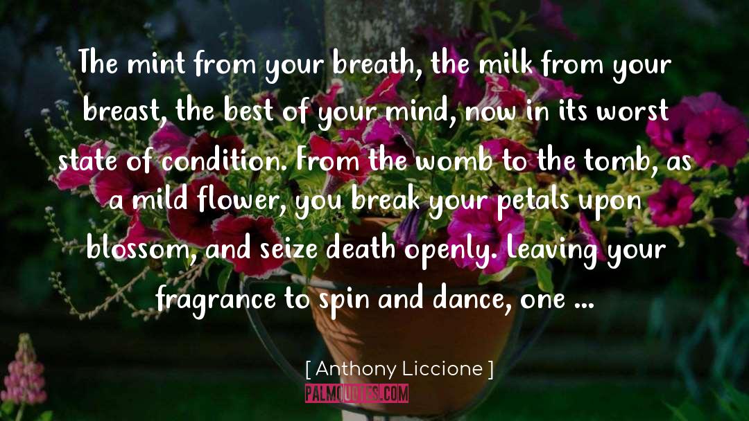 Blown Away quotes by Anthony Liccione