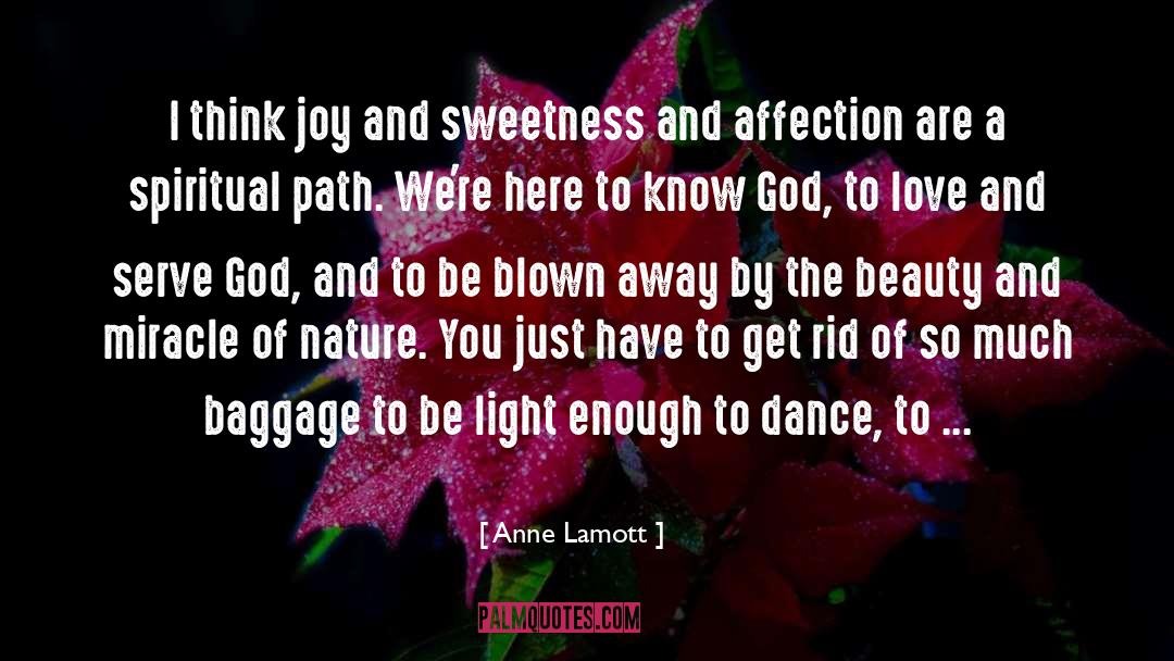 Blown Away quotes by Anne Lamott