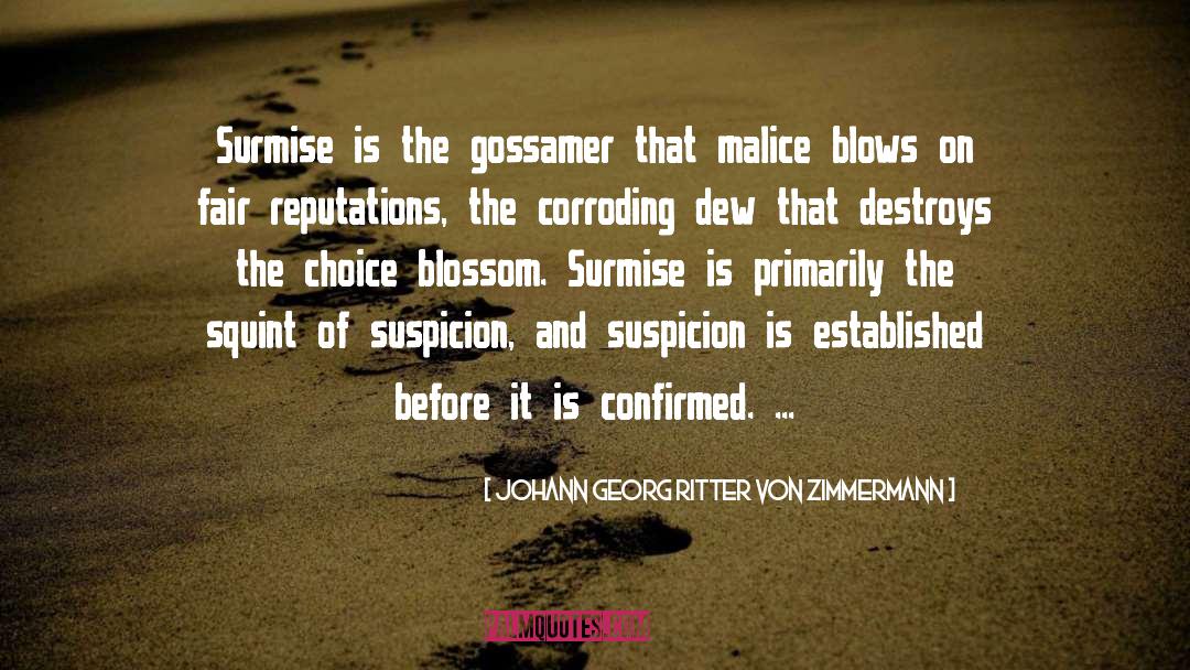 Blows quotes by Johann Georg Ritter Von Zimmermann