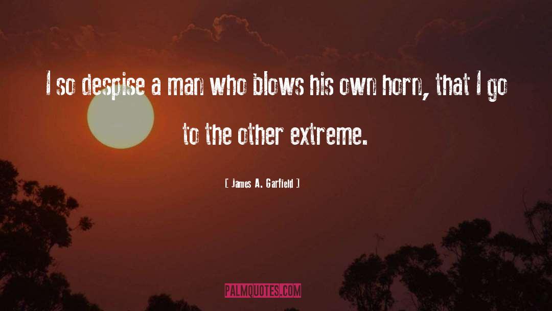 Blows quotes by James A. Garfield