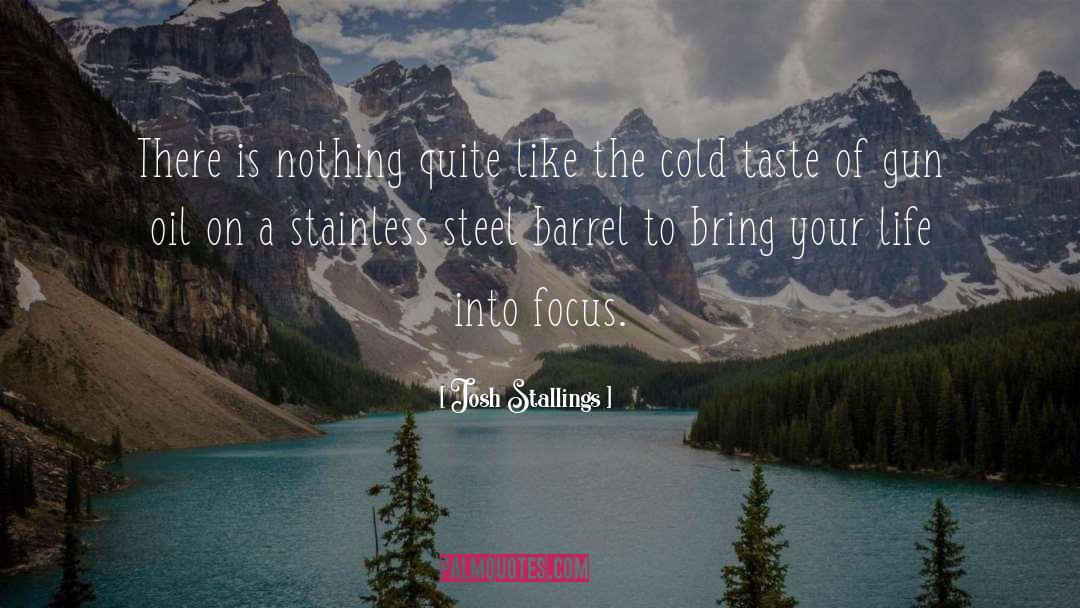 Blucher Stainless Steel quotes by Josh Stallings