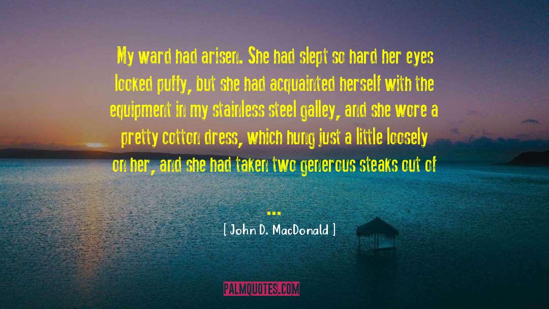 Blucher Stainless Steel quotes by John D. MacDonald