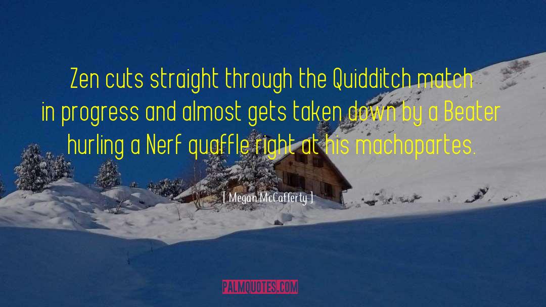 Bludger Quidditch quotes by Megan McCafferty