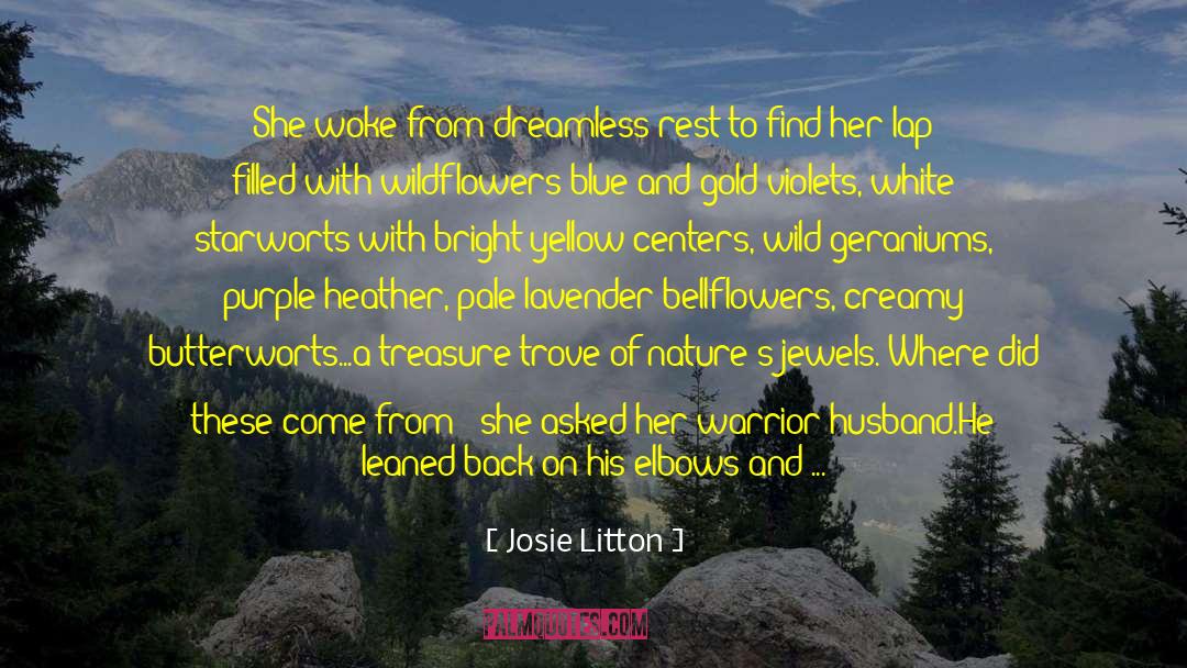 Blue And Gold quotes by Josie Litton