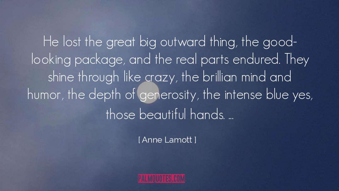 Blue And Gold quotes by Anne Lamott