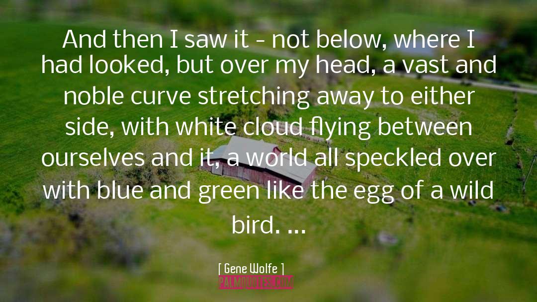 Blue And Green quotes by Gene Wolfe