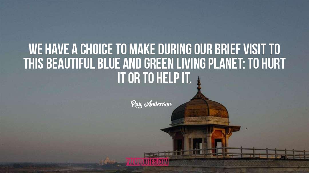 Blue And Green quotes by Ray Anderson