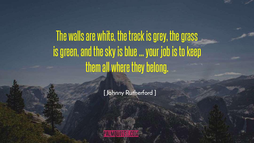 Blue And Yellow quotes by Johnny Rutherford