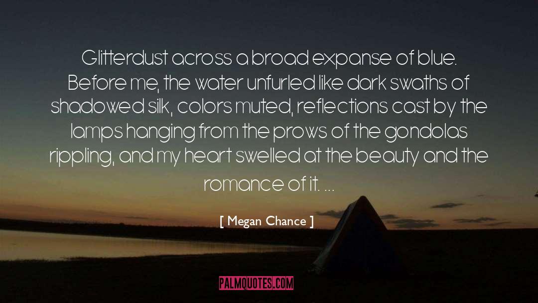 Blue Bird quotes by Megan Chance