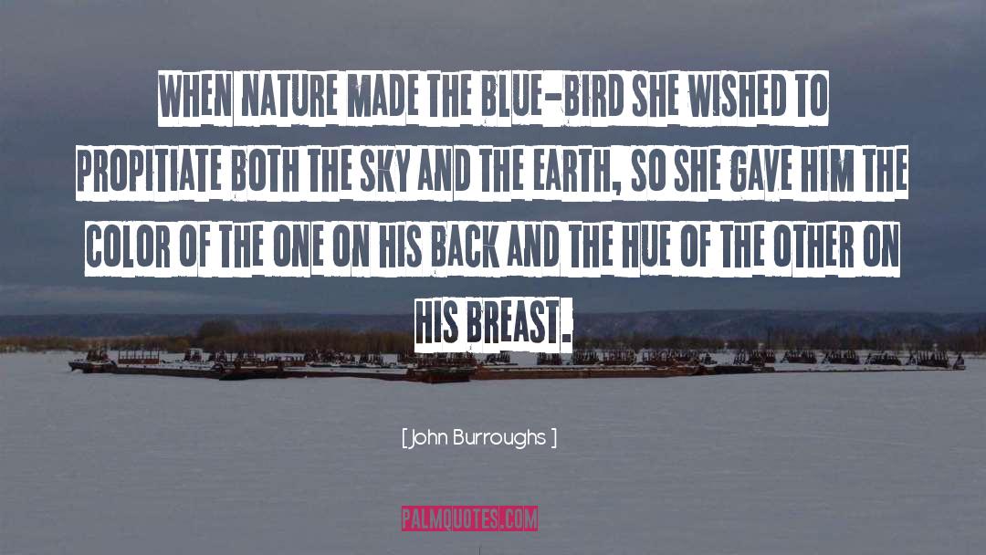 Blue Bird quotes by John Burroughs