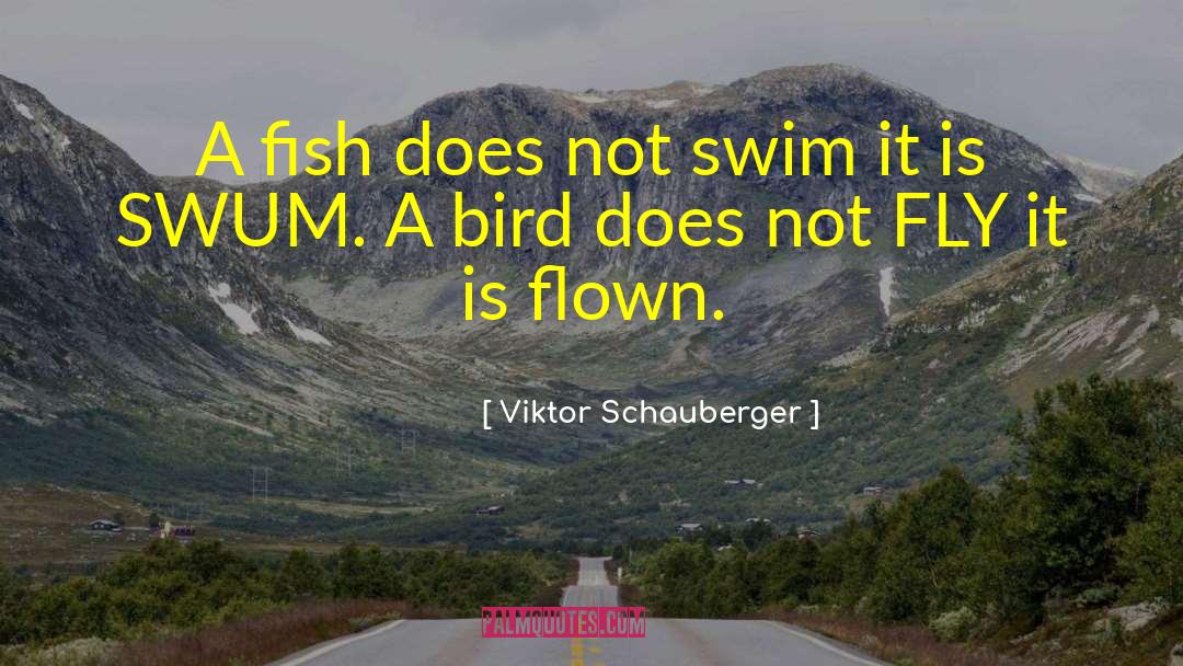 Blue Bird quotes by Viktor Schauberger
