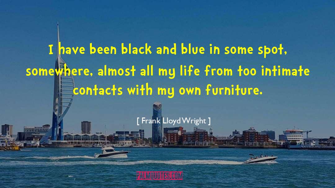 Blue Bloods quotes by Frank Lloyd Wright