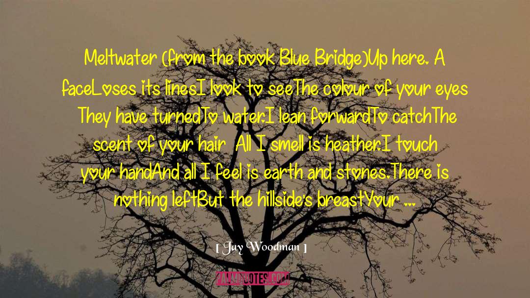 Blue Bridge quotes by Jay Woodman