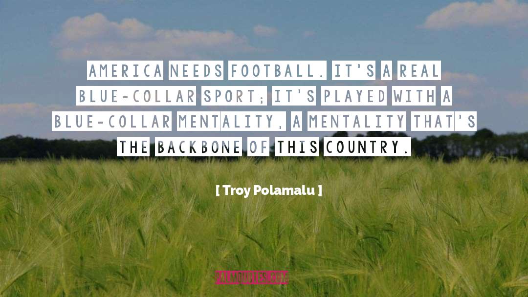 Blue Collar Moral Injunction quotes by Troy Polamalu