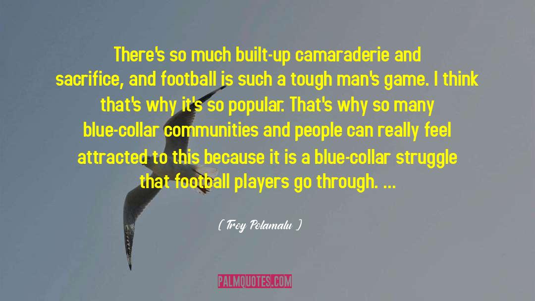 Blue Collar quotes by Troy Polamalu