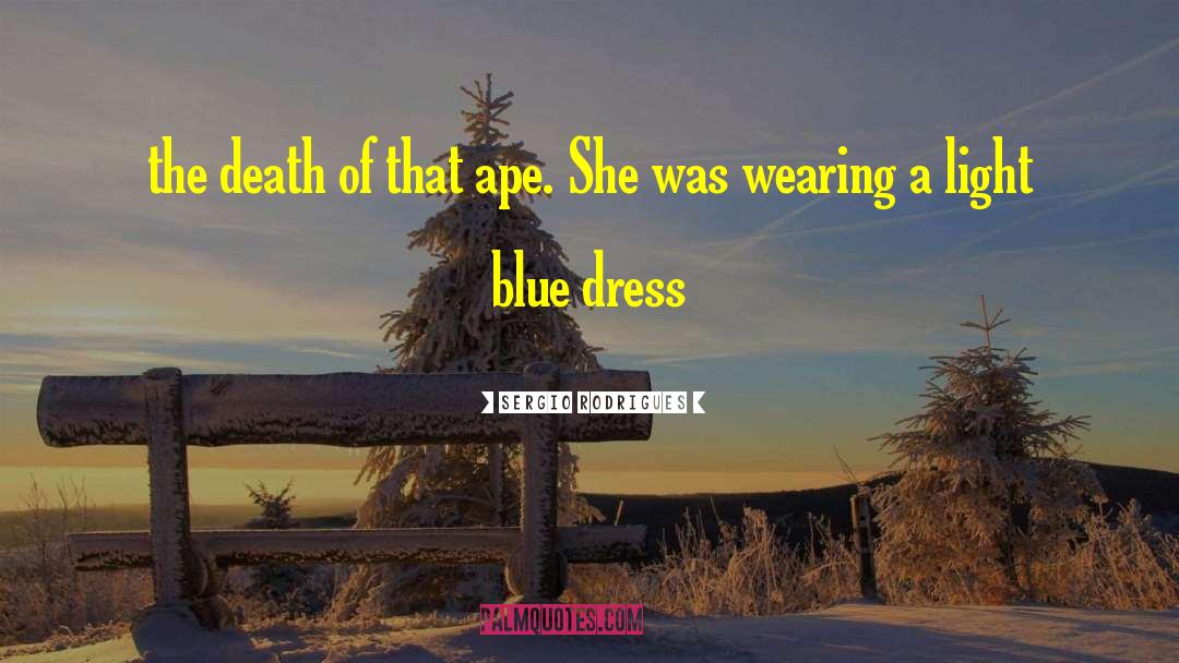 Blue Dress quotes by Sergio Rodrigues