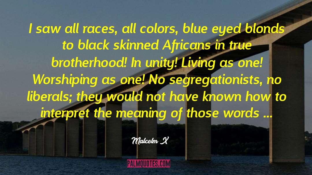 Blue Eyed quotes by Malcolm X