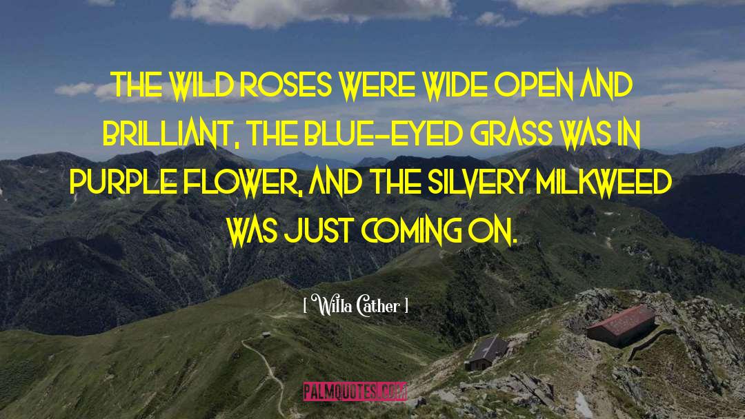 Blue Eyed quotes by Willa Cather