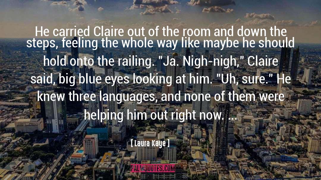 Blue Eyes quotes by Laura Kaye