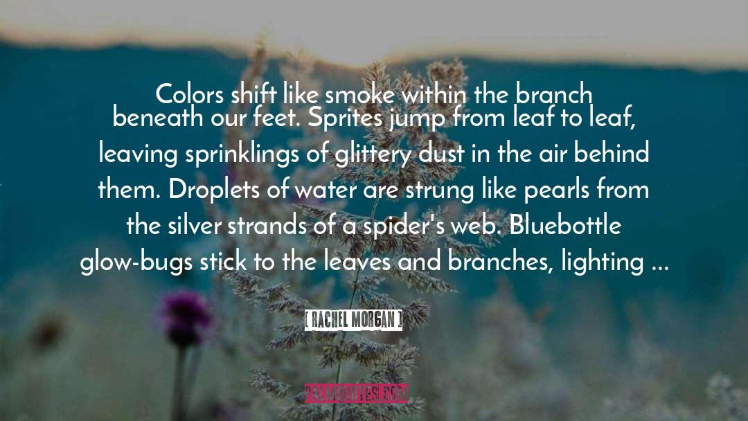 Blue Green Sea quotes by Rachel Morgan