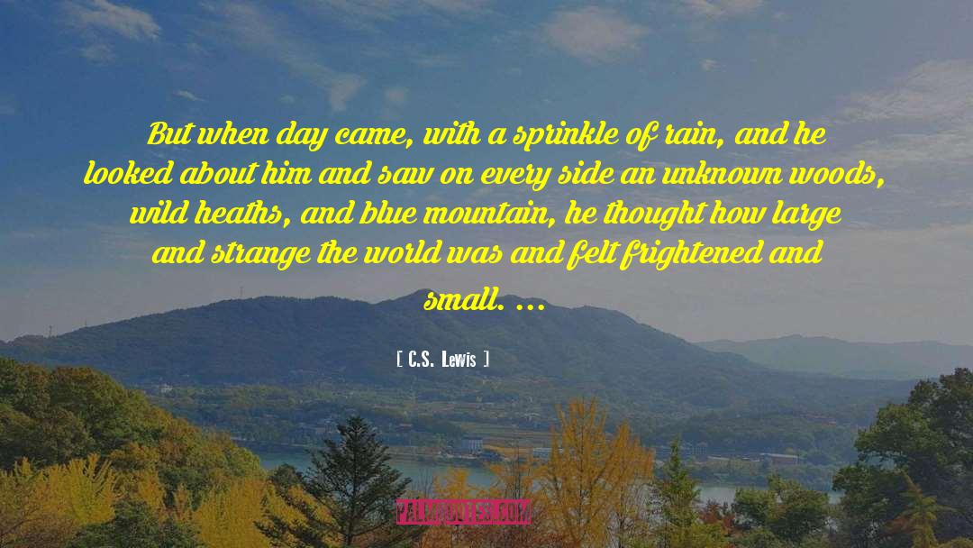 Blue Mountain quotes by C.S. Lewis