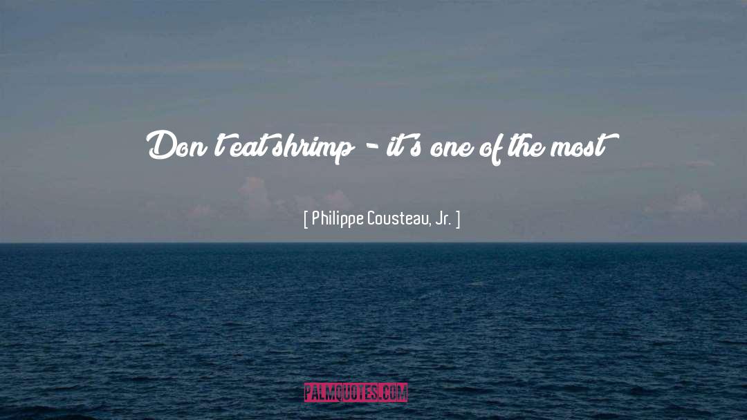 Blue Ocean quotes by Philippe Cousteau, Jr.