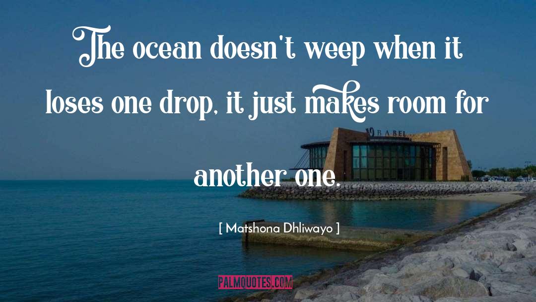 Blue Ocean quotes by Matshona Dhliwayo
