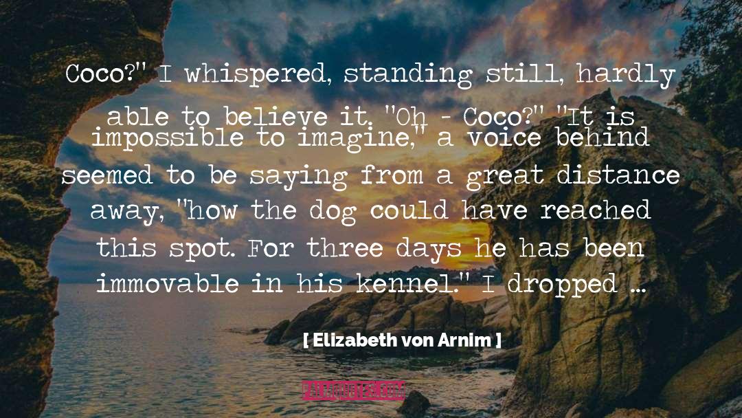 Blue Of Distance quotes by Elizabeth Von Arnim